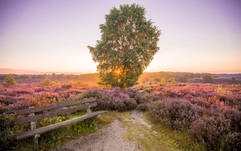 Schoolreis Veluwe